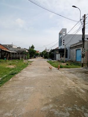 Chính chủ bán đất mặt tiền Khu Phố Phú Hiệp 3 Thị trấn Hòa Hiệp Trung, Huyện Đông Hòa, Phú Yên