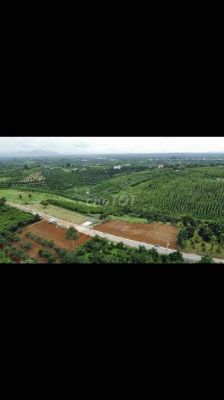 Cần bán gấp lô đất tại Xã Lộc An, Huyện Bảo Lâm, Lâm Đồng.